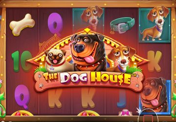 Игра The Dog House в Zenit Casino